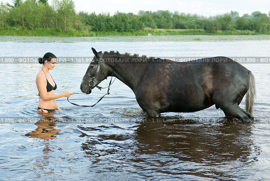 Девушка и лошадь стоят в воде. Стоковое фото, фотограф Александр Fanfo / Фотобанк Лори