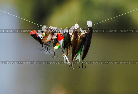 different type fish lure hanging fishing line. Стоковое фото, агентство Ingram Publishing / Фотобанк Лори