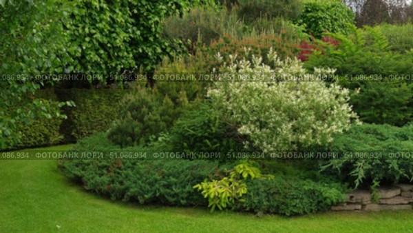 Different types of shrubbery, shrubs, stone path surrounded by evergreen trees. Professional Landscaping with lots of flowers, plants, rocks on the ground. Garden Daily Idea. English style. Real Video. Стоковое видео, видеограф Марина Демидюк / Фотобанк Лори