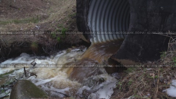 dirty jets of brown water are pouring down through a sewer in the park. Стоковое видео, видеограф Андрей Знаменский / Фотобанк Лори