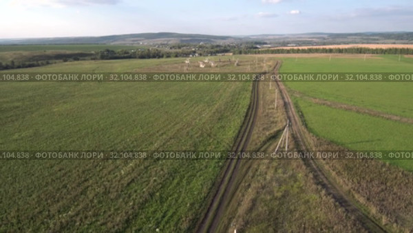 Добыча нефти. Куст станков-качалок. Вид с воздуха. Часть 1. Oil production. A group of pumpjacks. Aerial view. Part 1. Стоковое видео, видеограф Евгений Романов / Фотобанк Лори