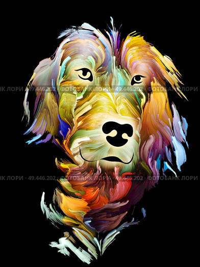 Dog digital portrait in bright colors on black background on subject of love, friendship, faithfulness, companionship between dog and man. God bless animals series. Стоковое фото, агентство Ingram Publishing / Фотобанк Лори