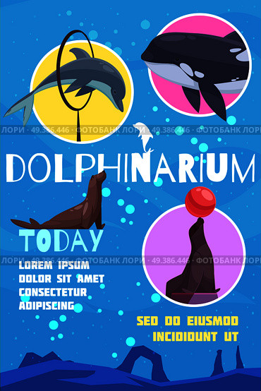 Dolphinarium poster with flat images of cetacean fishes with editable text captions and underwater background vector illustration. Flat Dolphinarium Announcement Poster. Стоковая иллюстрация, агентство Ingram Publishing / Фотобанк Лори