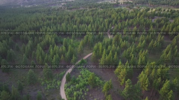 Дорога в лесу в горах. Стоковое видео, видеограф Степан Столбовский / Фотобанк Лори