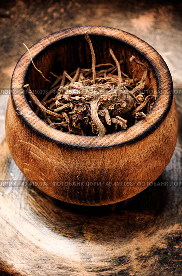 Dried rhizomes and roots of valerian medicinal. Medicinal herbs. Dried Valerian roots. Стоковое фото, агентство Ingram Publishing / Фотобанк Лори