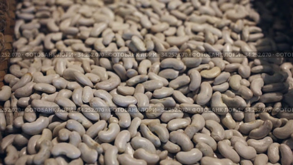 Dried white ganxet bean in baskets on local Catalan market. Стоковое видео, видеограф Яков Филимонов / Фотобанк Лори