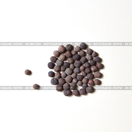 Dried whole allspice, jamaica peper - spice for culinary cooking isolated on white background with copy space.. Whole aromatic allspice roung pattern isolated on white background. Стоковое фото, агентство Ingram Publishing / Фотобанк Лори