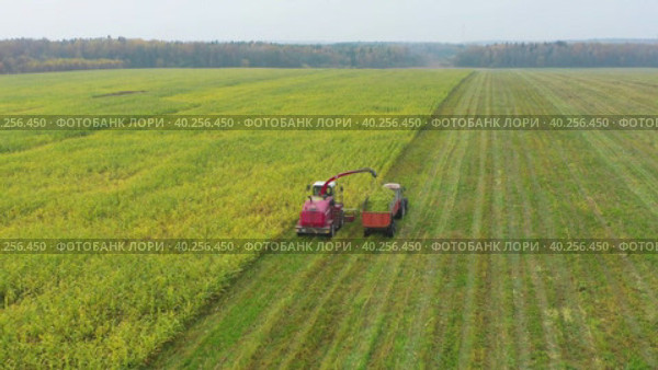 Drone follow combine harvester removes crop from green field into tractor. Стоковое видео, видеограф Кирилл Трифонов / Фотобанк Лори