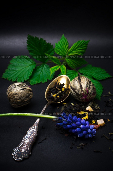 dry leaves of the tea infuser and accessories on black background. spilled tea . Стоковое фото, агентство Ingram Publishing / Фотобанк Лори