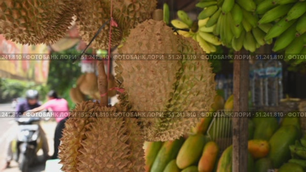 Durians on the counter at market. Exotic tropical fruit. Asian king of fruits. Стоковое видео, видеограф Степанов Григорий / Фотобанк Лори