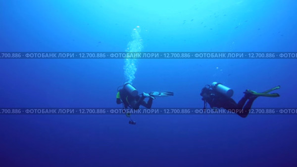 Два дайвера плывут в толще воды. Стоковое видео, видеограф KEN VOSAR / Фотобанк Лори