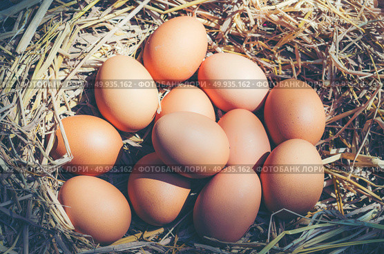easter chick egg, vintage filter image. Стоковое фото, агентство Ingram Publishing / Фотобанк Лори