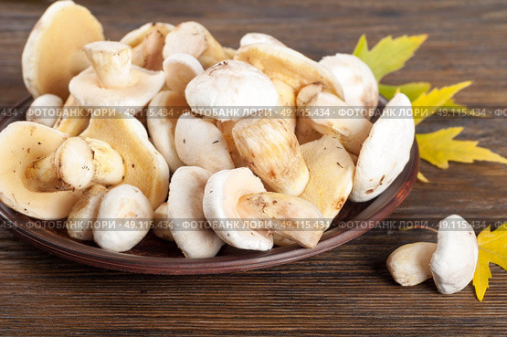 Edible wild mushrooms on a wooden background. Forest cleaned mushrooms in a clay plate. Стоковое фото, агентство Ingram Publishing / Фотобанк Лори
