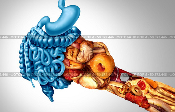 Effects of fast food and symptoms of intestine and colon inflammation causing obesity and pain as intestines being hit hard by unhealthy eating with 3D illustration elements. Стоковое фото, агентство Ingram Publishing / Фотобанк Лори