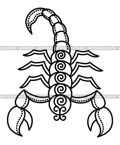 Eight astrological sign, scorpio associated with sky constellation. Zodiac represented by arachnid animal with poison in tail, scorpion symbol. Contour drawing on white background. Vector illustration. Zodiac Scorpio Sign, Animal with Poison, Scorpion. Стоковая иллюстрация, агентство Ingram Publishing / Фотобанк Лори