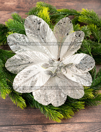 Elegant glittered poinsettia-style ornament with silver leaves on pine branches. Perfect for handmade Christmas decor and festive holiday atmosphere. Стоковое фото, фотограф Татьяна Терехина / Фотобанк Лори