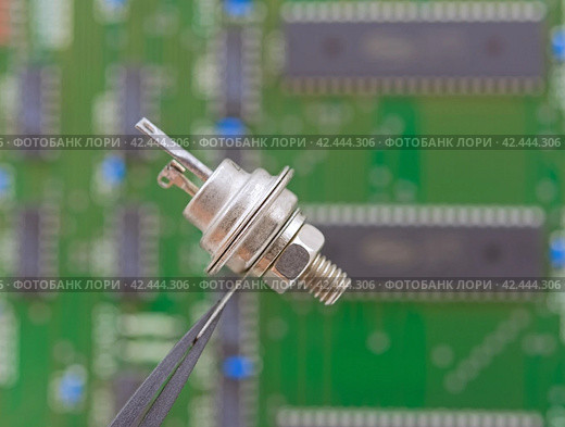 Электронный компонент удерживается в пинцете на фоне печатной платы. Electronic component held with tweezers. Стоковое фото, фотограф Татьяна Д / Фотобанк Лори