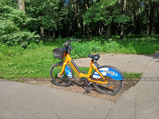 Электровелосипед в лесу. Лосиный остров. Район Гольяново. Москва (2024 год). Редакционное фото, фотограф lana1501 / Фотобанк Лори