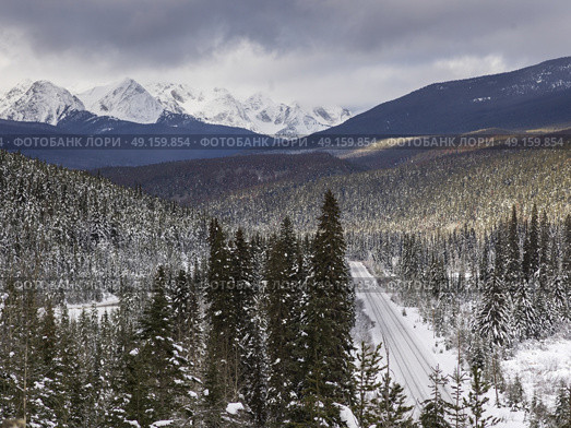 Elevated view of trees, Highway 16, Jasper, Jasper National Park, Alberta, Canada. Стоковое фото, агентство Ingram Publishing / Фотобанк Лори