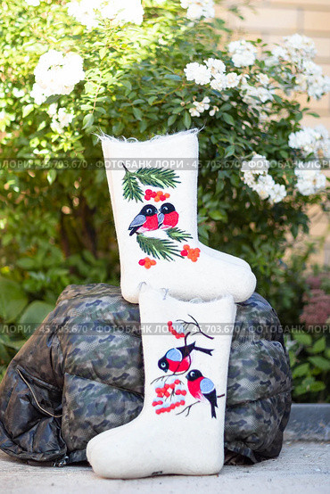 Embroidered valenki on a background of garden flowers (2020 год). Редакционное фото, фотограф Андриян Григорьевич Чаркин / Фотобанк Лори