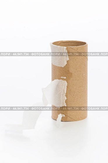 Empty toilet paper on white background. Стоковое фото, фотограф Сергей Толмачёв / Фотобанк Лори