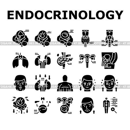 Endocrinology Medical Disease Icons Set Vector. Стоковая иллюстрация, иллюстратор Vectorwin / Фотобанк Лори