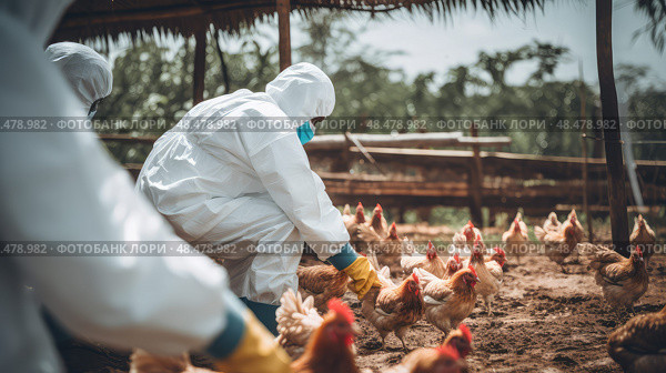 ers farming chicken farm ai generated. Стоковое AI-изображение, AI-художник Vectorwin / Фотобанк Лори