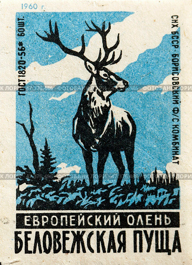 Европейский олень. Серия: Беловежская пуща. Спичечные этикетки СССР. 1960. Редакционное фото, фотограф Сергей Афанасьев / Фотобанк Лори