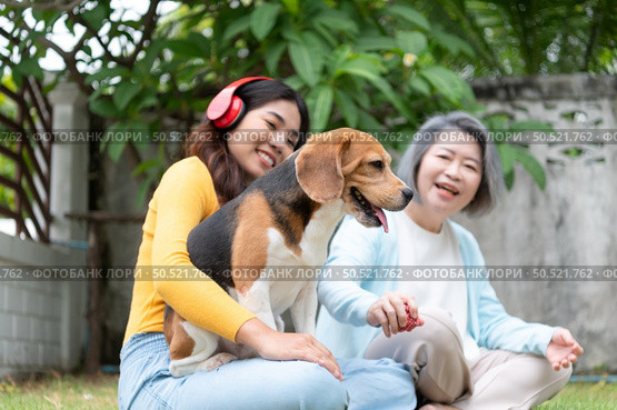 Family vacation, mother, daughter, and beagle puppy relaxing on weekends in the front yard. Стоковое фото, агентство Ingram Publishing / Фотобанк Лори