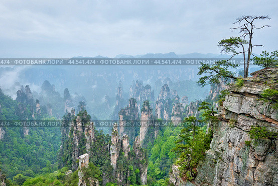 Famous tourist attraction of China - Zhangjiajie mountains, China. Стоковое фото, фотограф Дмитрий Рухленко / Фотобанк Лори