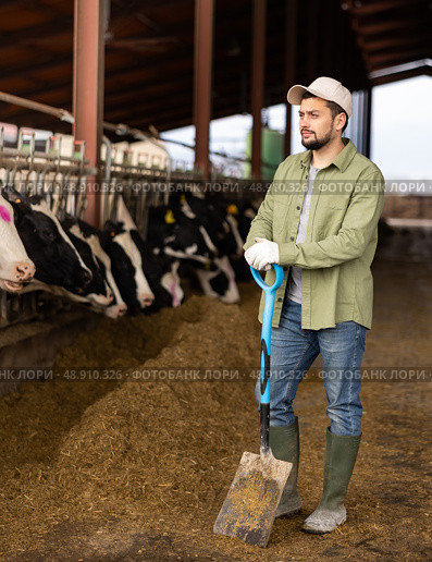 Farmer with shovel standing in cowshed. Стоковое фото, фотограф Яков Филимонов / Фотобанк Лори