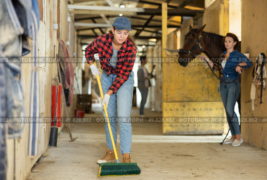 Female employee sweeps floors in stable corridor, cleans passage between stalls. Стоковое фото, фотограф Яков Филимонов / Фотобанк Лори