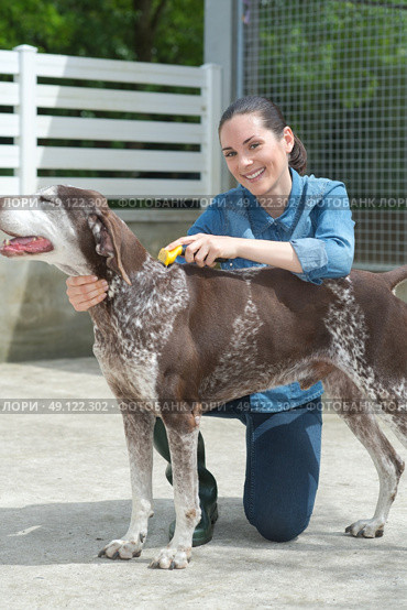 female vet stroking dog at animal shelter. Стоковое фото, агентство Ingram Publishing / Фотобанк Лори