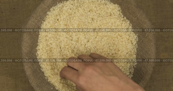 Фермер проверяет качество рисовых зерен в мешке. Рука проверяет семена. Вид сверху. Стоковое видео, видеограф Александр Собко / Фотобанк Лори
