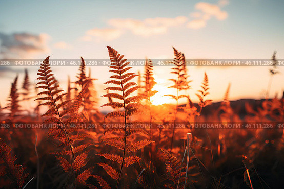Ferns growing wild in warm sunset light, nature background. Стоковое AI-изображение, AI-художник Иван Рябоконь / Фотобанк Лори