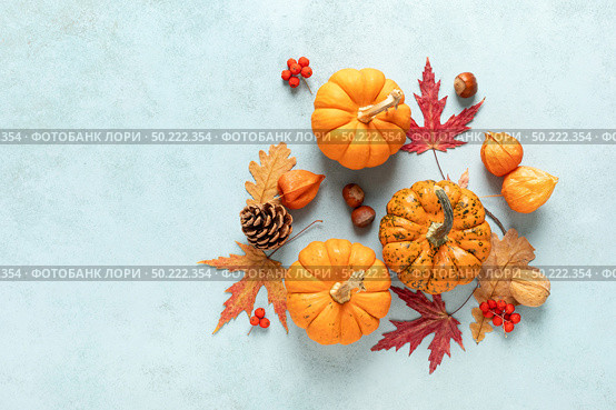 Festive autumn pumpkins decor with fall leaves, berries, nuts on blue background. Thanksgiving day or halloween holiday, harvest concept. Top view flat lay composition with copy space for greeting. Стоковое фото, агентство Ingram Publishing / Фотобанк Лори