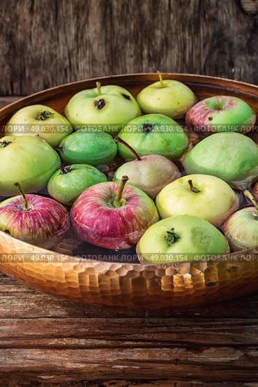 few small apples. Autumn harvest of apples in the bowl of water on wooden background.Photo tinted. Стоковое фото, агентство Ingram Publishing / Фотобанк Лори