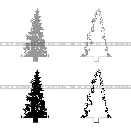 Fir tree Christmas Coniferous Spruce Pine forest Evergreen woods Conifer silhouette grey black color vector illustration solid outline style simple image. Fir tree Christmas Coniferous Spruce Pine forest Evergreen woods Conifer silhouette grey black color vector illustration solid outline style image. Стоковая иллюстрация, агентство Ingram Publishing / Фотобанк Лори
