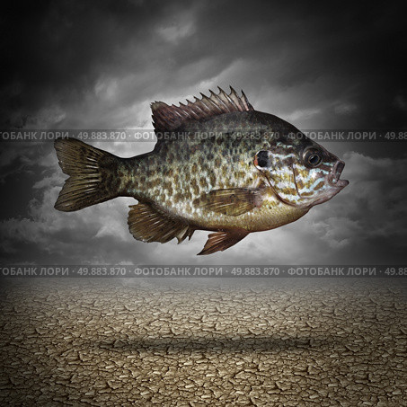 Fish out of water as a business or lifestyle metaphor for adapting to changes in the environment as an aquatic animal floating above dried cracked ground as a symbol of crisis management and overcoming challenges as climate change. Стоковое фото, агентство Ingram Publishing / Фотобанк Лори