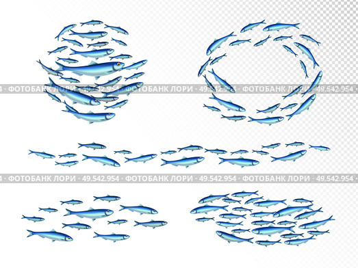 Fish school colonies realistic set with fast moving wedge shape feeding shoals circulair transparent background vector illustration. Стоковая иллюстрация, агентство Ingram Publishing / Фотобанк Лори