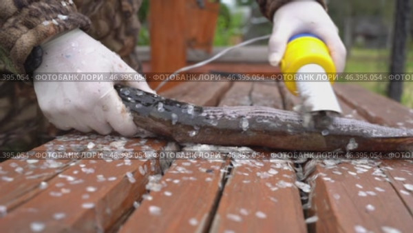 Fisherman Cleaning Fish With Electric Cleaning For Fish. Стоковое видео, видеограф Igor Skripachev / Фотобанк Лори