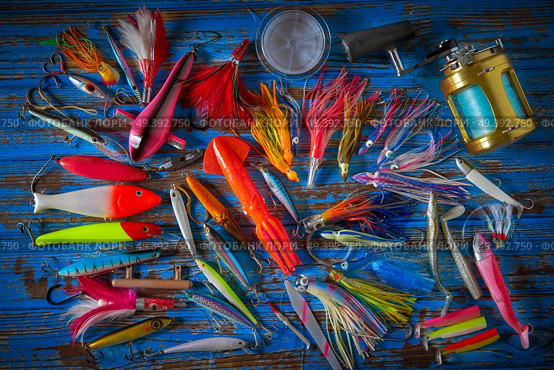 Fishing lures tackle collection for saltwater trolling and spinning angler. Стоковое фото, агентство Ingram Publishing / Фотобанк Лори