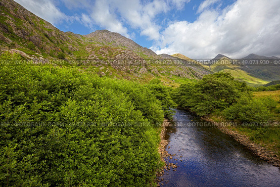 Five Sisters of Kintail from Shiel Bridge, Glen Shiel, Scotland. Стоковое фото, агентство Ingram Publishing / Фотобанк Лори