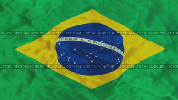 Флаг Бразилии анимированный ( Brazil flag animated) Стоковая анимация, аниматор Александр Гусев / Фотобанк Лори