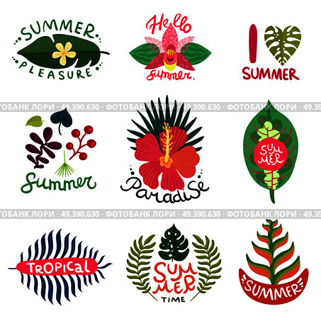 Flat set of colorful summer emblems with different tropical plants isolated on white background vector illustration. Tropical Plants Emblems Set. Стоковая иллюстрация, агентство Ingram Publishing / Фотобанк Лори