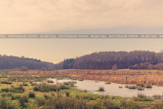 Flooded field with ice and green grass. Стоковое фото, агентство Ingram Publishing / Фотобанк Лори