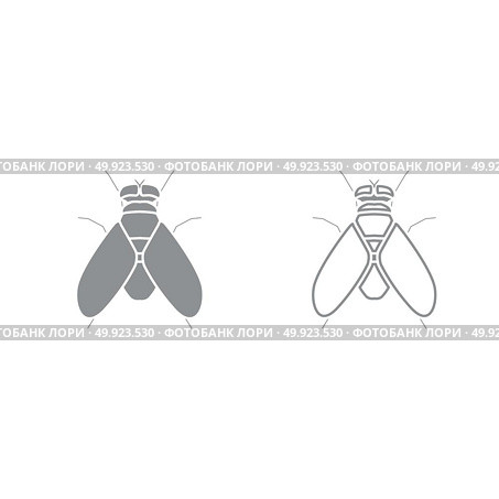 Fly grey set icon . Стоковая иллюстрация, агентство Ingram Publishing / Фотобанк Лори