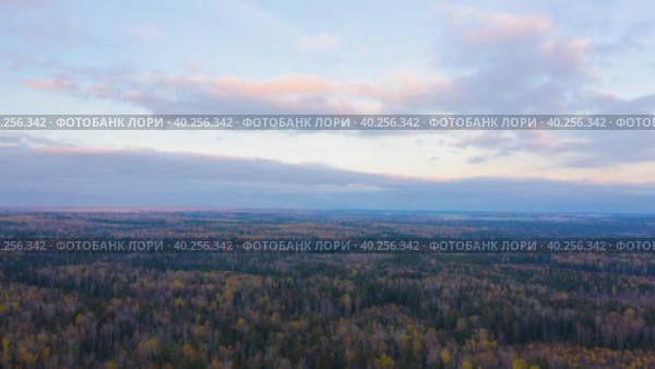Flying above autumn yellow forest toward dramatic clouds during sunset - hyper lapse. Стоковое видео, видеограф Кирилл Трифонов / Фотобанк Лори