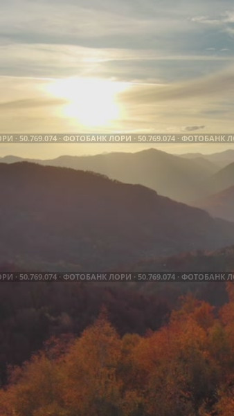 Flying over colorful foliage at sunset in mountains. Стоковое видео, видеограф Михаил Коханчиков / Фотобанк Лори