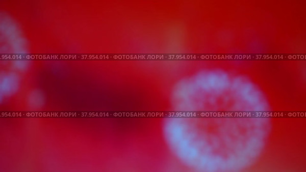 Фон - размытый, не в фокусе фейерверк, циклическое видео. Стоковое видео, видеограф Евгений Горбунов / Фотобанк Лори
